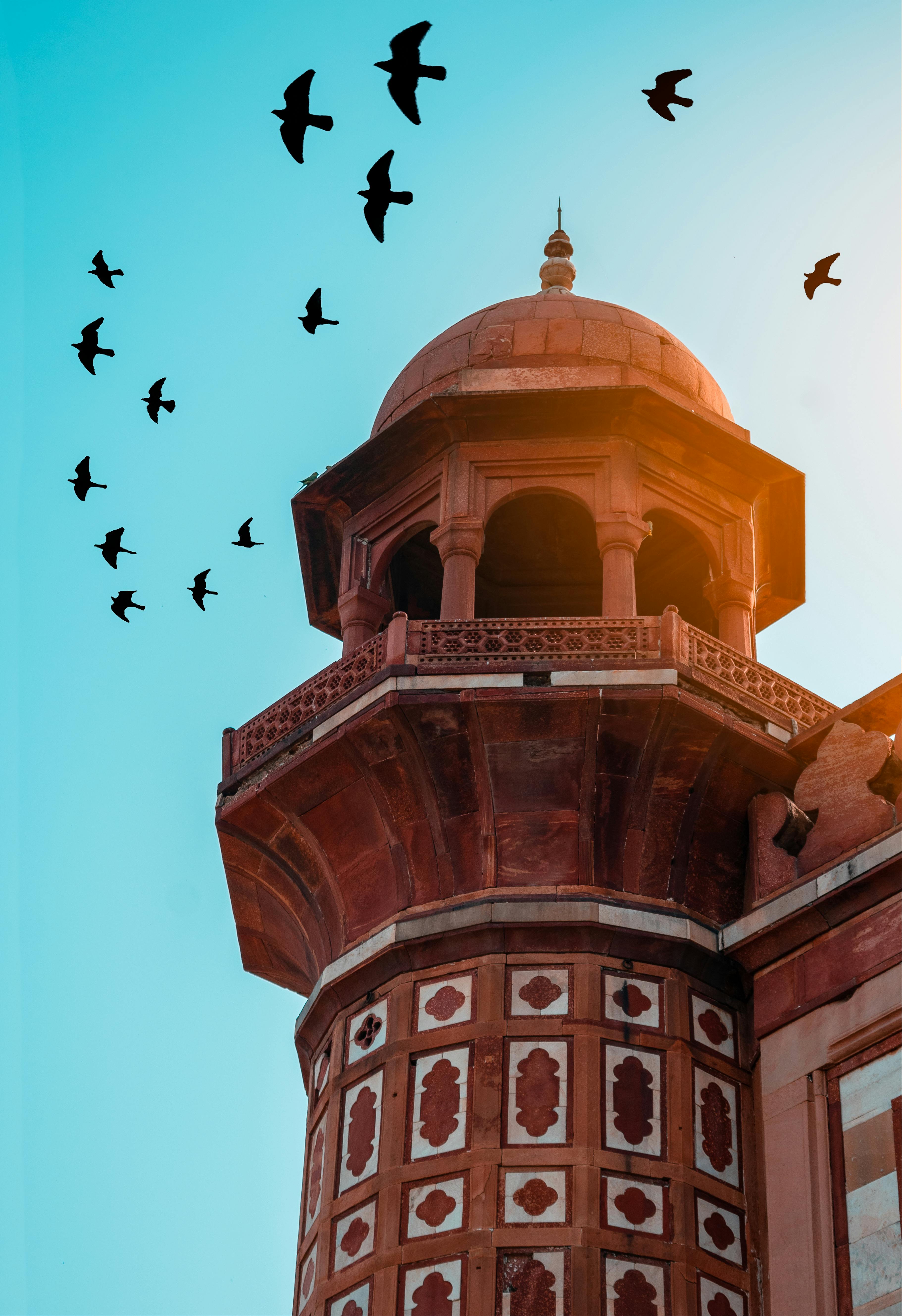 Delhi - History and culture