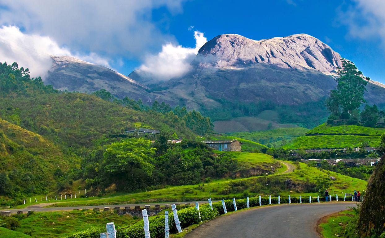 Munnar Hills